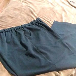 *Dressbarn Blue pants sz 18